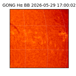 gong - 2026-05-29T17:00:02