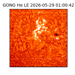 gong - 2026-05-29T01:00:42