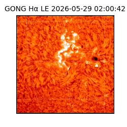 gong - 2026-05-29T02:00:42