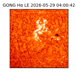 gong - 2026-05-29T04:00:42