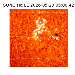 gong - 2026-05-29T05:00:42
