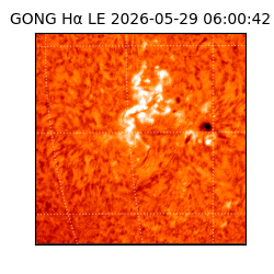 gong - 2026-05-29T06:00:42