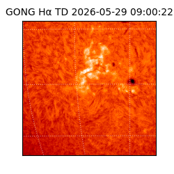 gong - 2026-05-29T09:00:22