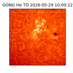 gong - 2026-05-29T10:00:22