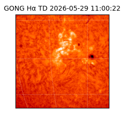 gong - 2026-05-29T11:00:22