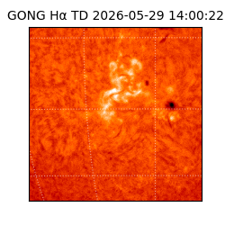 gong - 2026-05-29T14:00:22