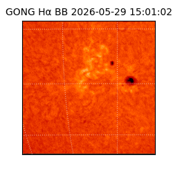 gong - 2026-05-29T15:01:02