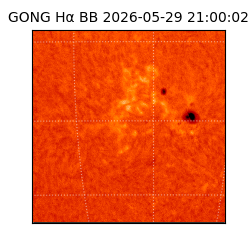 gong - 2026-05-29T21:00:02