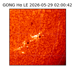 gong - 2026-05-29T02:00:42