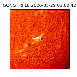 gong - 2026-05-29T03:00:42