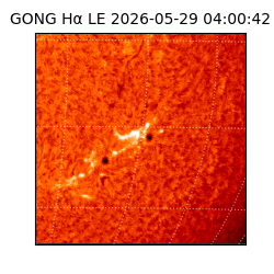 gong - 2026-05-29T04:00:42