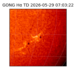 gong - 2026-05-29T07:03:22