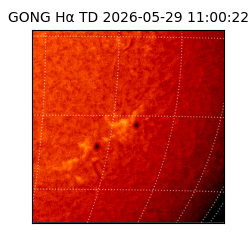 gong - 2026-05-29T11:00:22