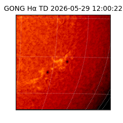 gong - 2026-05-29T12:00:22