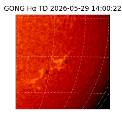 gong - 2026-05-29T14:00:22