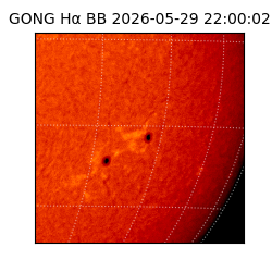 gong - 2026-05-29T22:00:02