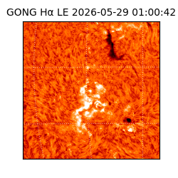 gong - 2026-05-29T01:00:42