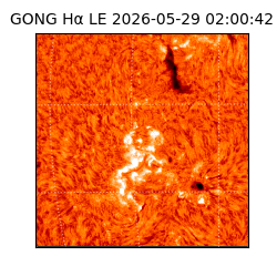 gong - 2026-05-29T02:00:42