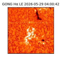 gong - 2026-05-29T04:00:42