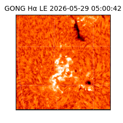 gong - 2026-05-29T05:00:42