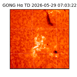 gong - 2026-05-29T07:03:22