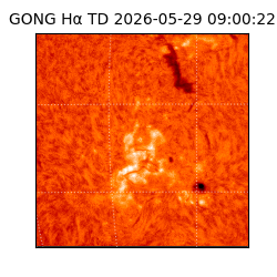 gong - 2026-05-29T09:00:22