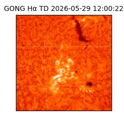 gong - 2026-05-29T12:00:22