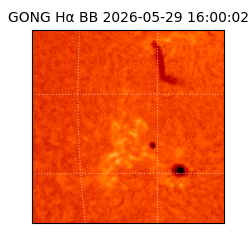 gong - 2026-05-29T16:00:02