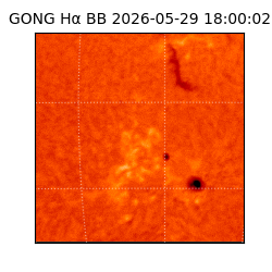 gong - 2026-05-29T18:00:02