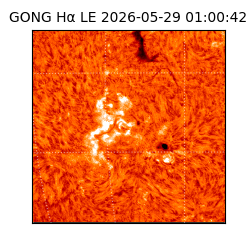 gong - 2026-05-29T01:00:42