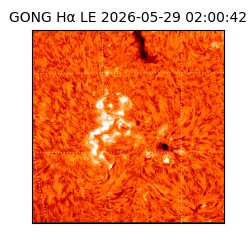 gong - 2026-05-29T02:00:42