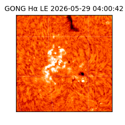 gong - 2026-05-29T04:00:42