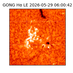 gong - 2026-05-29T06:00:42