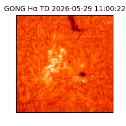 gong - 2026-05-29T11:00:22