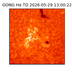 gong - 2026-05-29T13:00:22