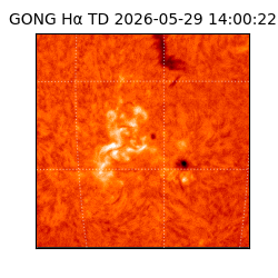 gong - 2026-05-29T14:00:22