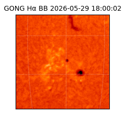 gong - 2026-05-29T18:00:02