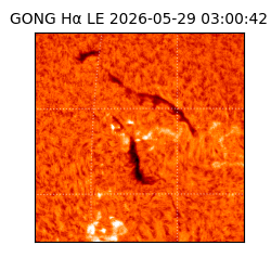 gong - 2026-05-29T03:00:42