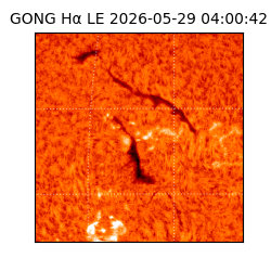 gong - 2026-05-29T04:00:42