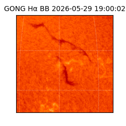 gong - 2026-05-29T19:00:02