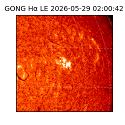 gong - 2026-05-29T02:00:42