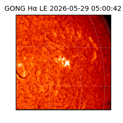 gong - 2026-05-29T05:00:42