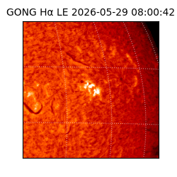 gong - 2026-05-29T08:00:42