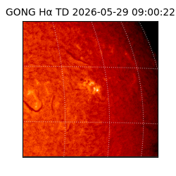 gong - 2026-05-29T09:00:22