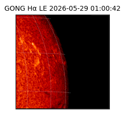 gong - 2026-05-29T01:00:42