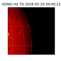 gong - 2026-05-29T09:00:22