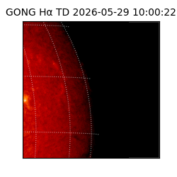 gong - 2026-05-29T10:00:22