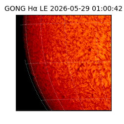 gong - 2026-05-29T01:00:42
