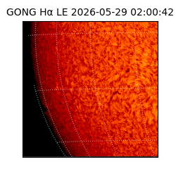 gong - 2026-05-29T02:00:42