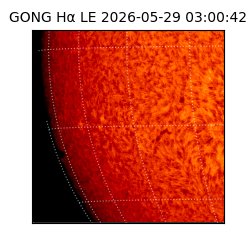gong - 2026-05-29T03:00:42